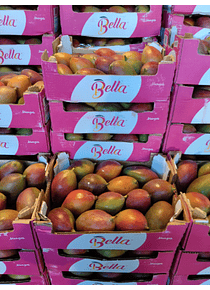 Caixa de manga palmer