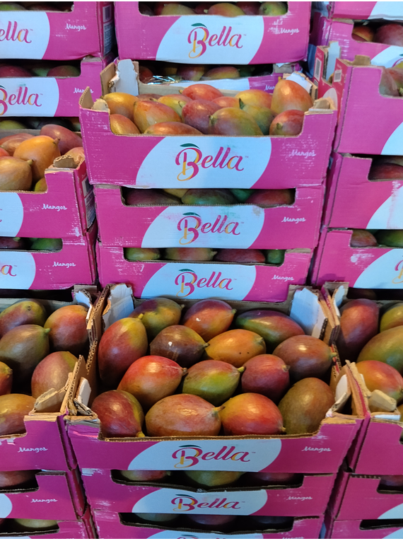 Caixa de manga palmer