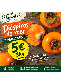 3Kg Diospiro Roer