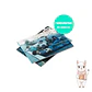 [PREVENTA] CORTIS - 2ND EP ALBUM GREENGREEN STANDARD VER. + POB WEVERSE - Miniatura 7