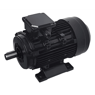 Motor Eléctrico Lehua 3 HP Trifásico 2850 RPM