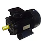 Motor Eléctrico Lehua 3 HP Trifásico 1450 RPM - Miniatura 1