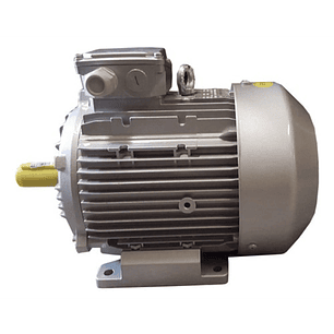 Motor Eléctrico Lehua 4 HP Trifásico 380V 1450 RPM – 4 Polos