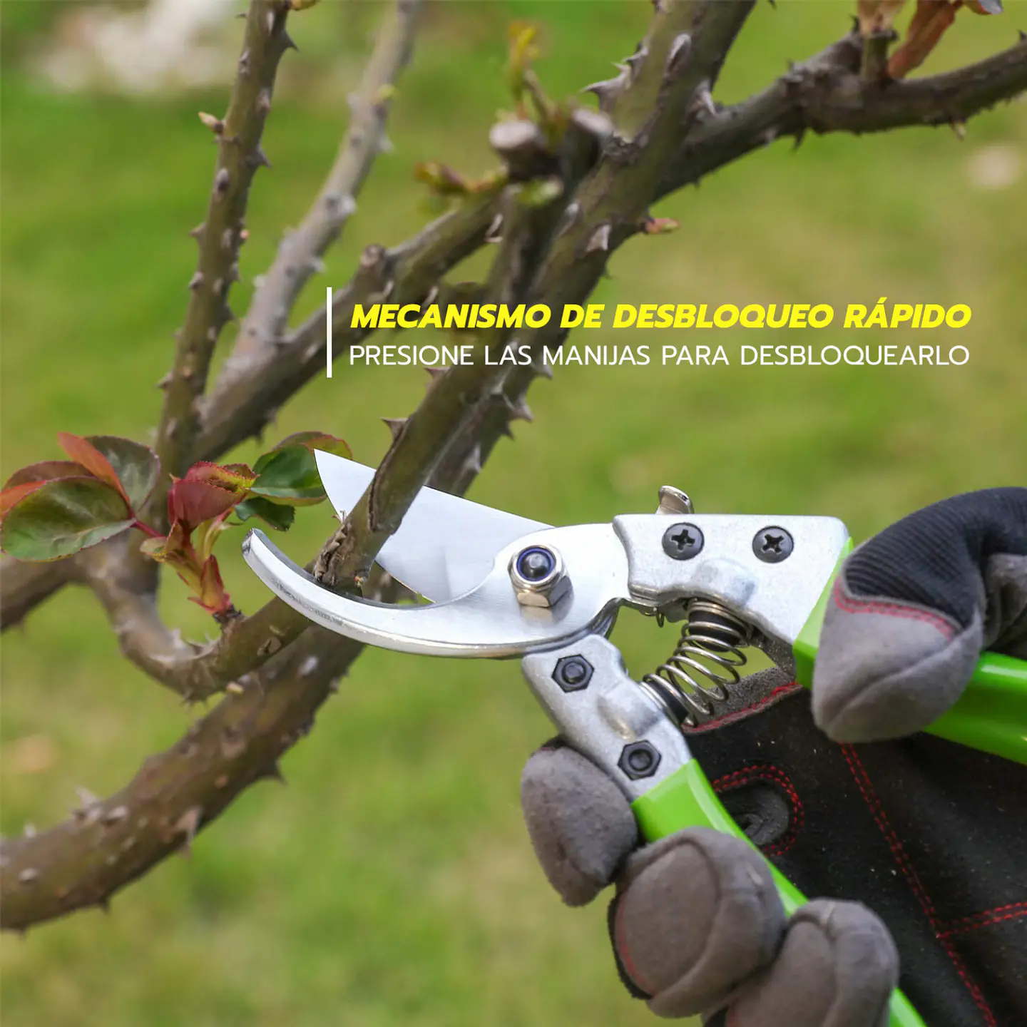 Juego de Herramientas de Jardín 7 Piezas con Bolso Verde – WP206803A 3