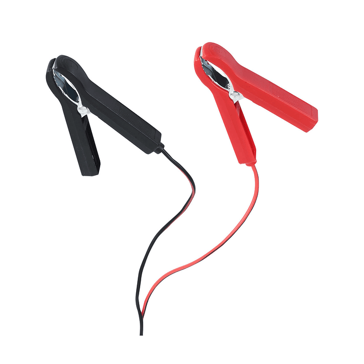 Cargador de Batería Inteligente AK20 12V / 24V 4