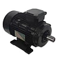 Motor Eléctrico e-Storm 2.0 HP Trifásico 2850 RPM - Miniatura 1