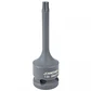 Dado torx cuadrante 1/2