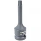 Dado torx cuadrante 1/2