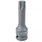 Dado torx cuadrante 1/2