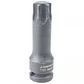 Dado torx cuadrante 1/2