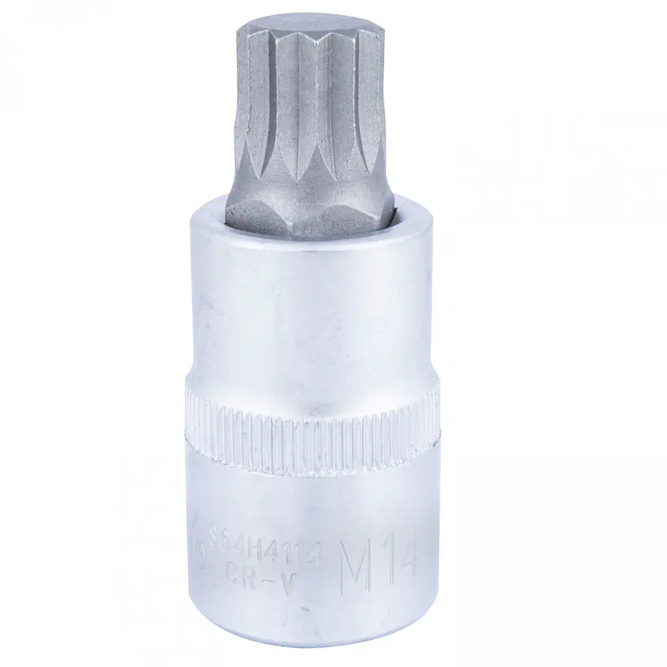 Dado spline cuadrante 1/2