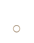 Segment ring 18GA - 1mm