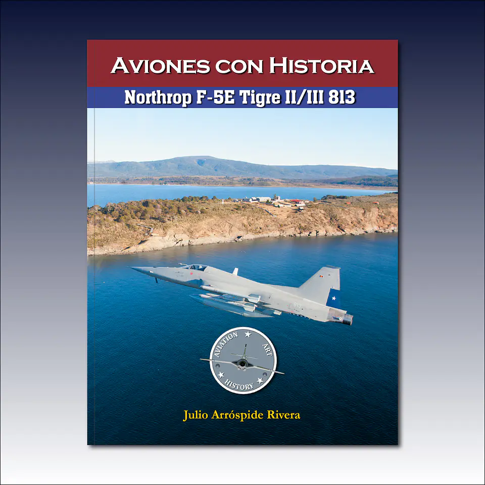 Northrop F-5E Tigre II/III N° 813 1