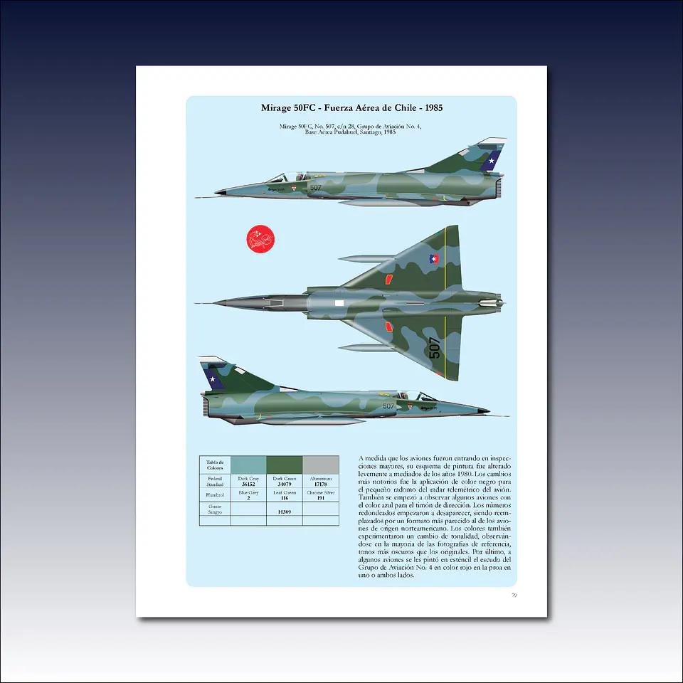Mirages del Armée de l'Air en la FACh 9