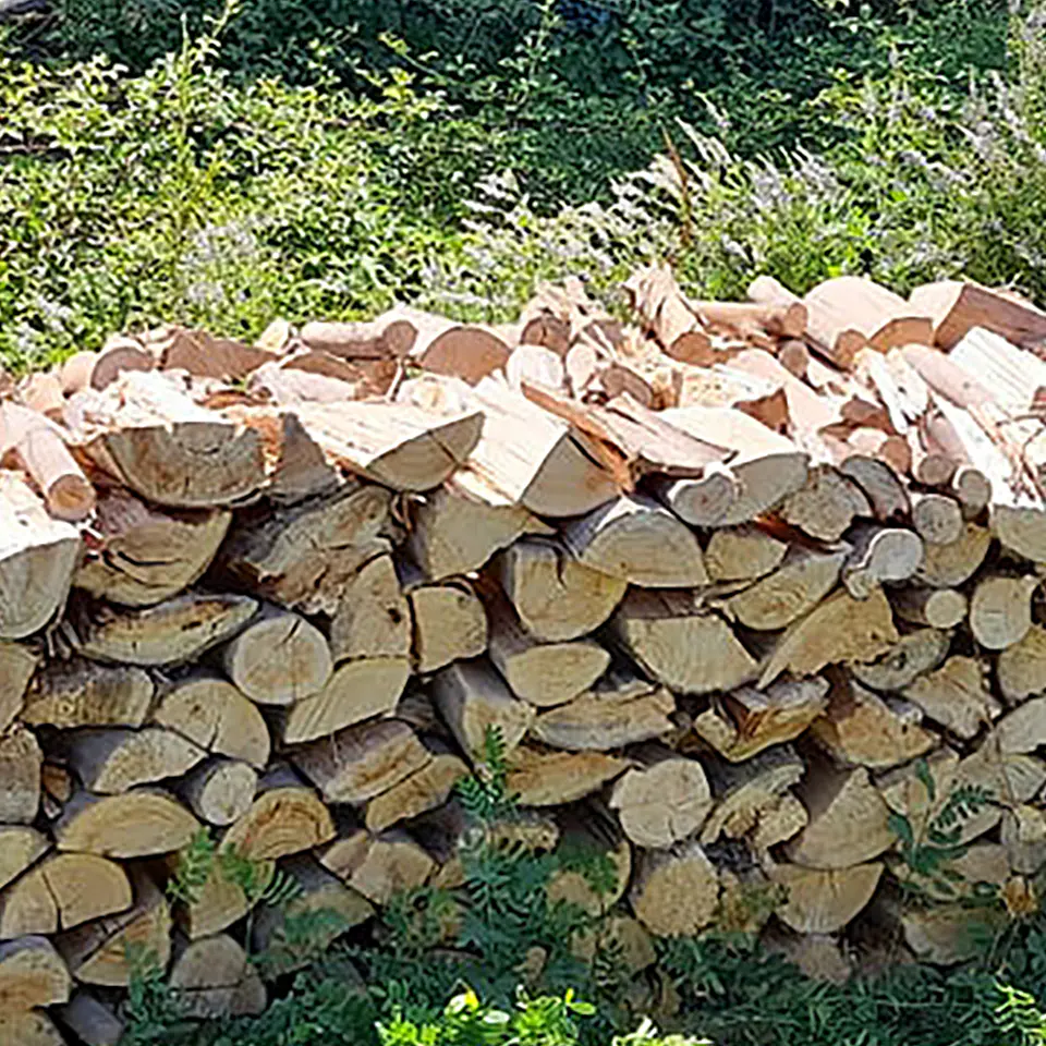 Eucalyptus Firewood per m³ 3