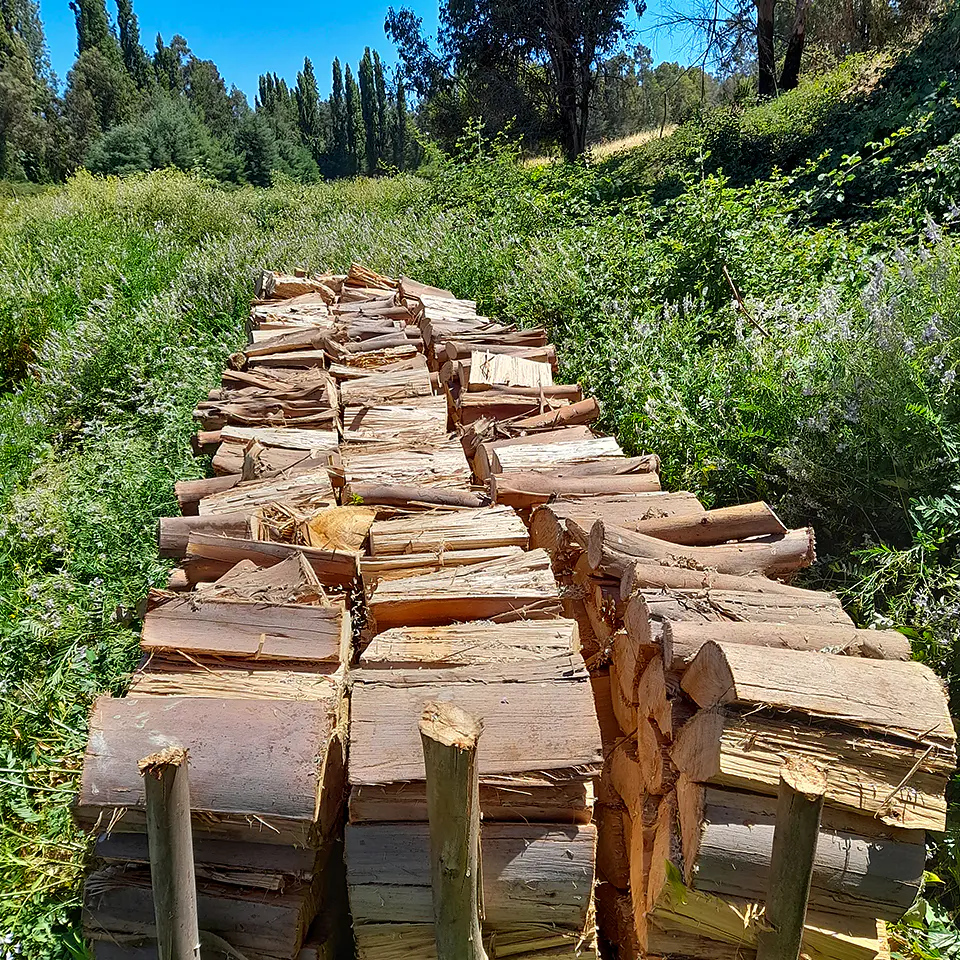 Eucalyptus Firewood per m³ 4