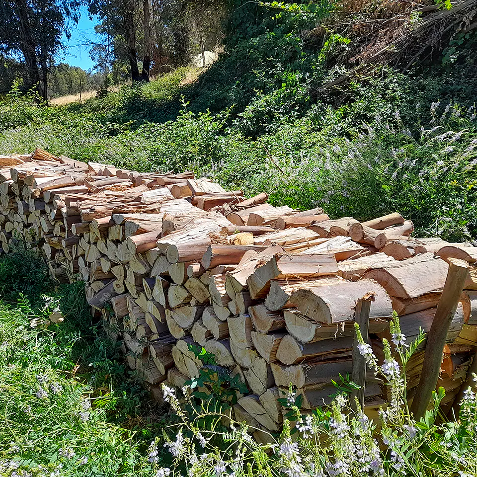 Eucalyptus Firewood per m³ 5