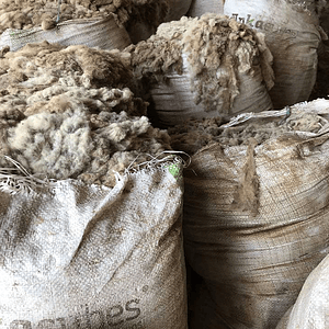 Saco Lana Suffolk Down (10kg)