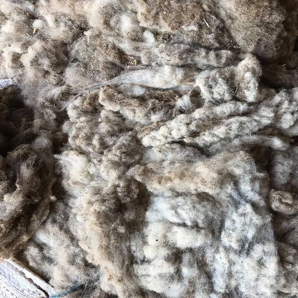Saco Lana Suffolk Down (10kg) 2