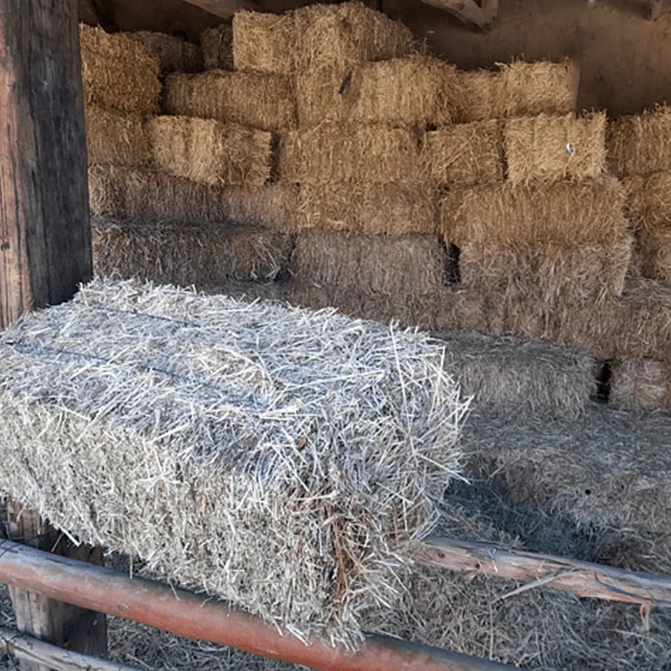 Bales Variety 3