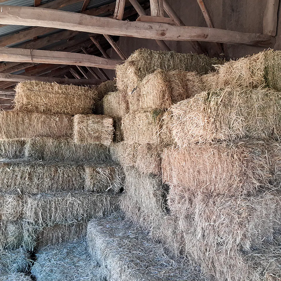 Bales Variety 5