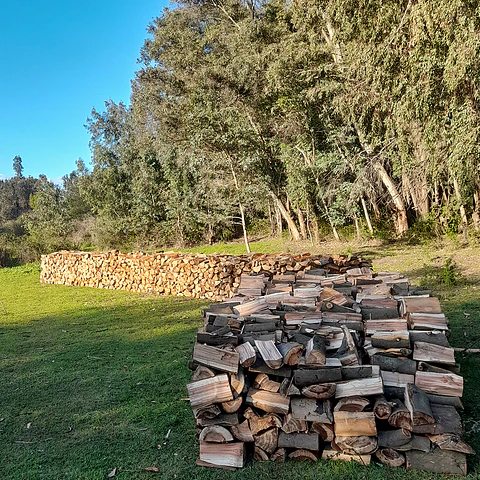 Leña de Aromo por m³