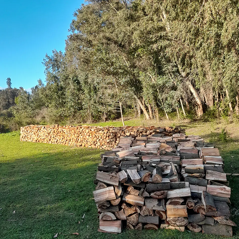 Leña de Aromo por m³ 1