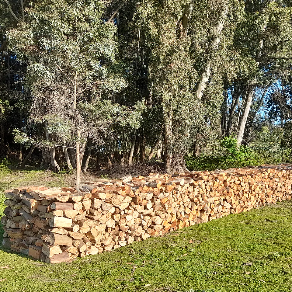 Eucalyptus Firewood per m³ 6