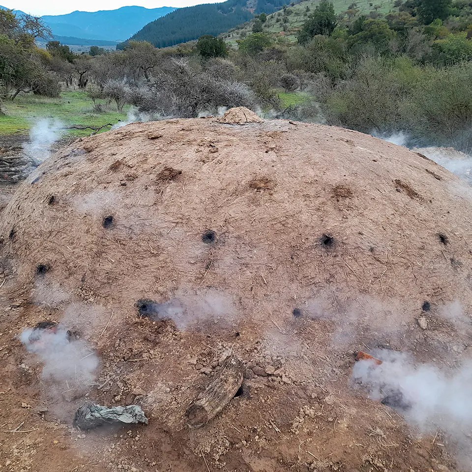 Carbón de Espino 6