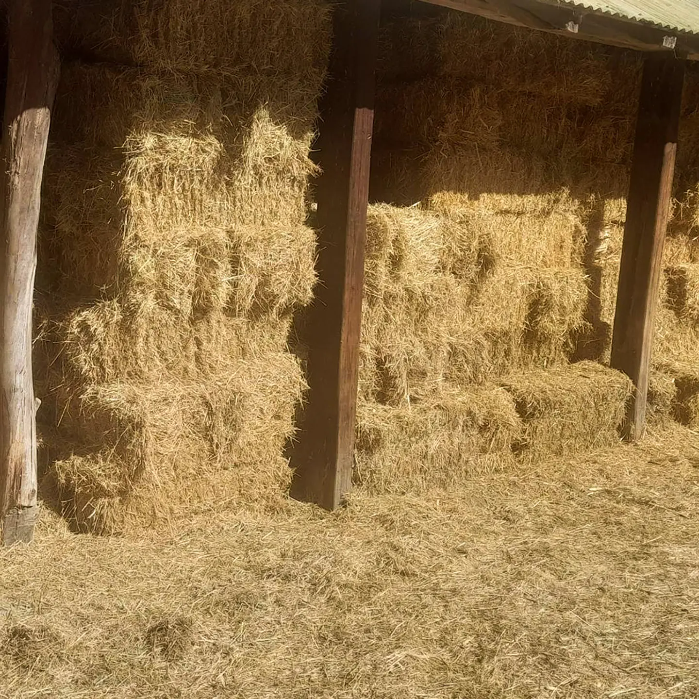 Bales Variety 8