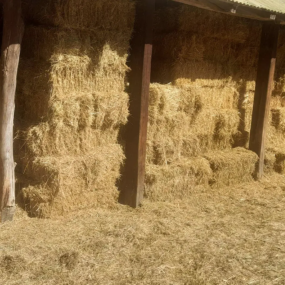 Bales Variety 8