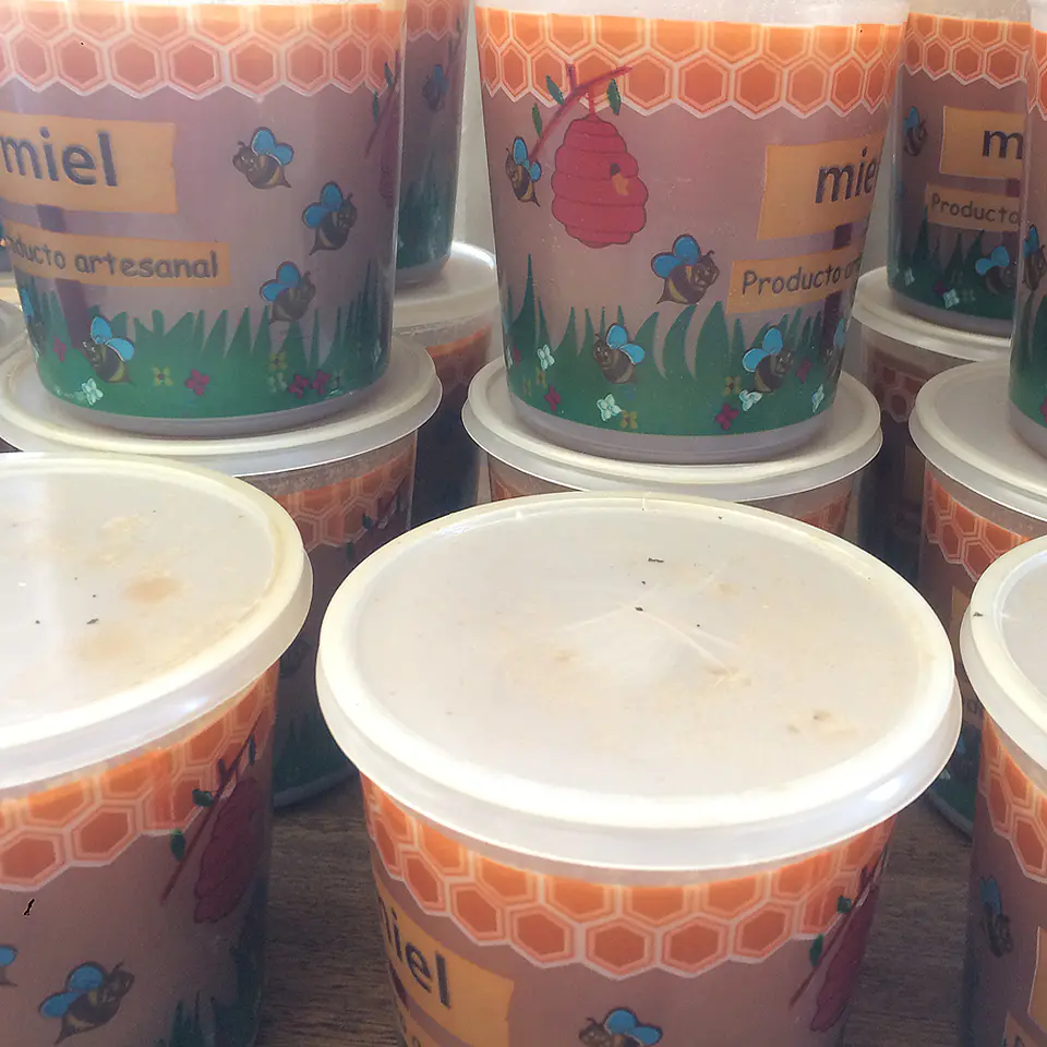 10 Potes de 1kg de Miel Multifloral en Envases de Plástico 2