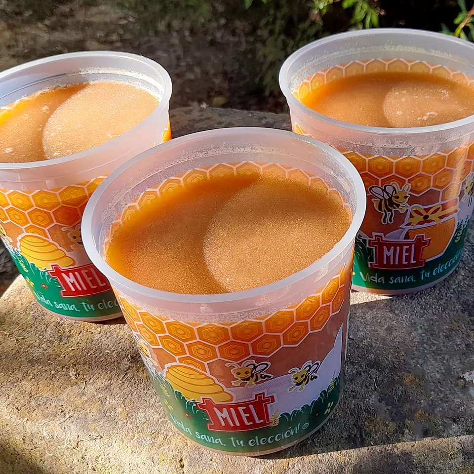 10 Potes de 1kg de Miel Multifloral en Envases de Plástico 3