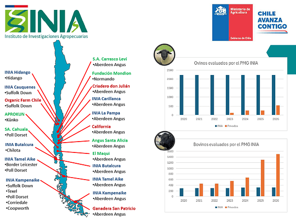 Nuestros Suffolk Down en el Programa Nacional de Gestión Genética Ganadera del INIA