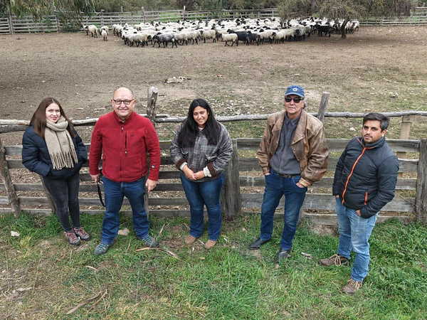 Organic Farm Chile se incorpora al Programa Nacional de Mejoramiento Genético Ganadero de INIA