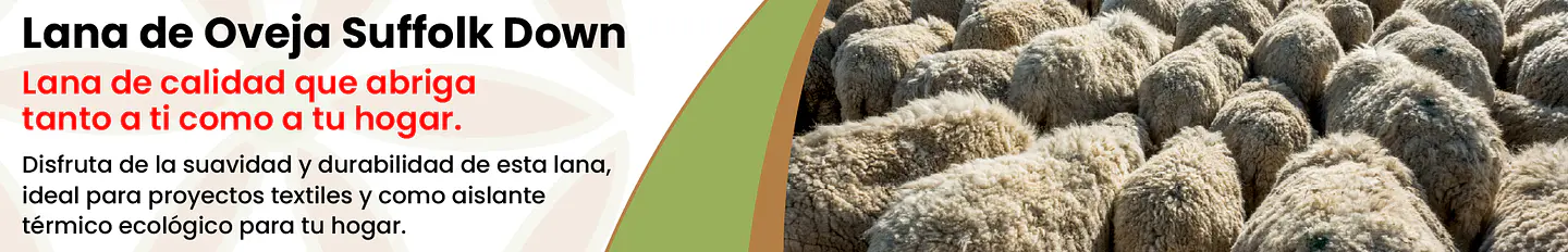 Organic Farm Chile