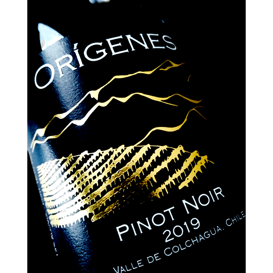 Pinot Noir 2019