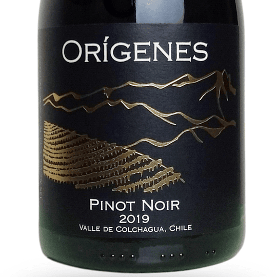 Pinot Noir 2019 + Caja de Carton Origenes - Image 3