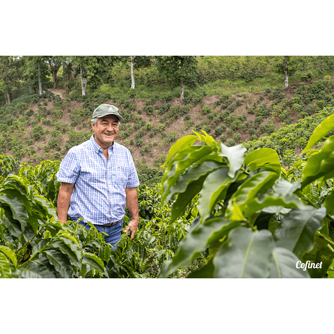 Jairo Arcilla Castillo Uva