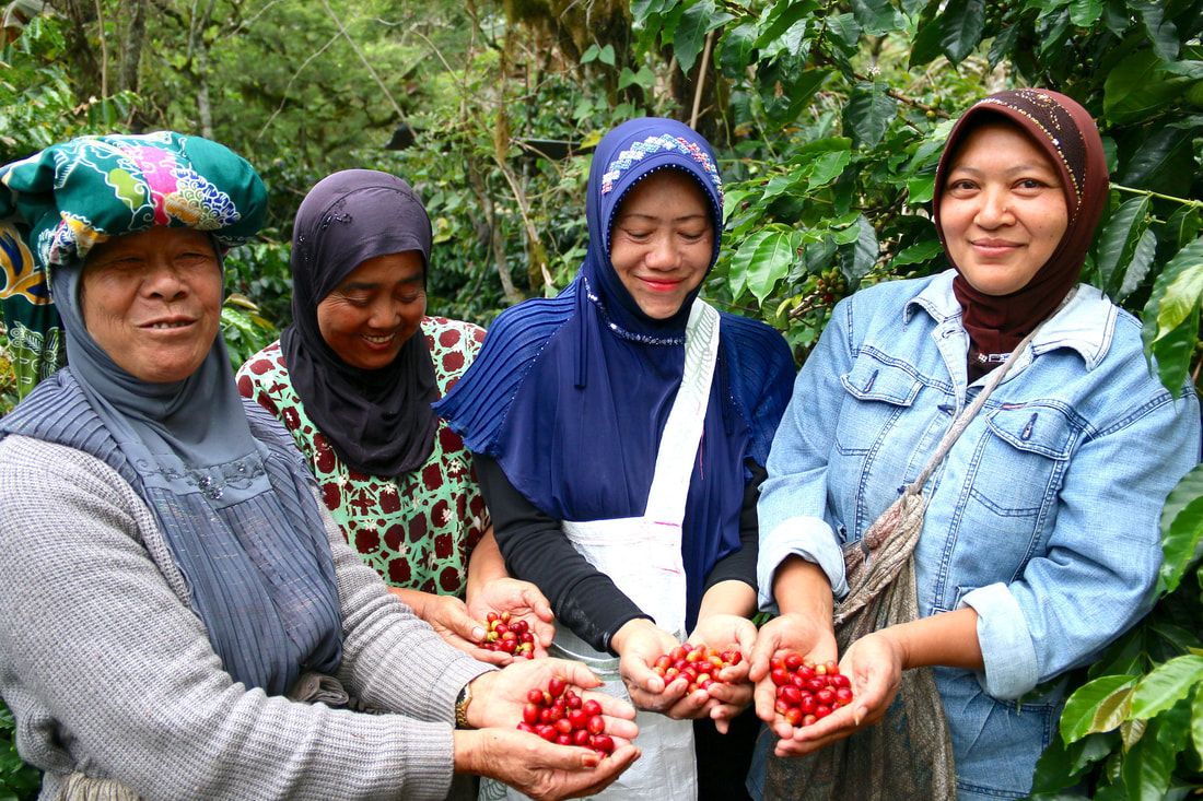 Sumatra Bies Awan