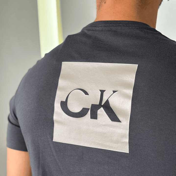 CAMISETA 30S CALVIN PINK 5