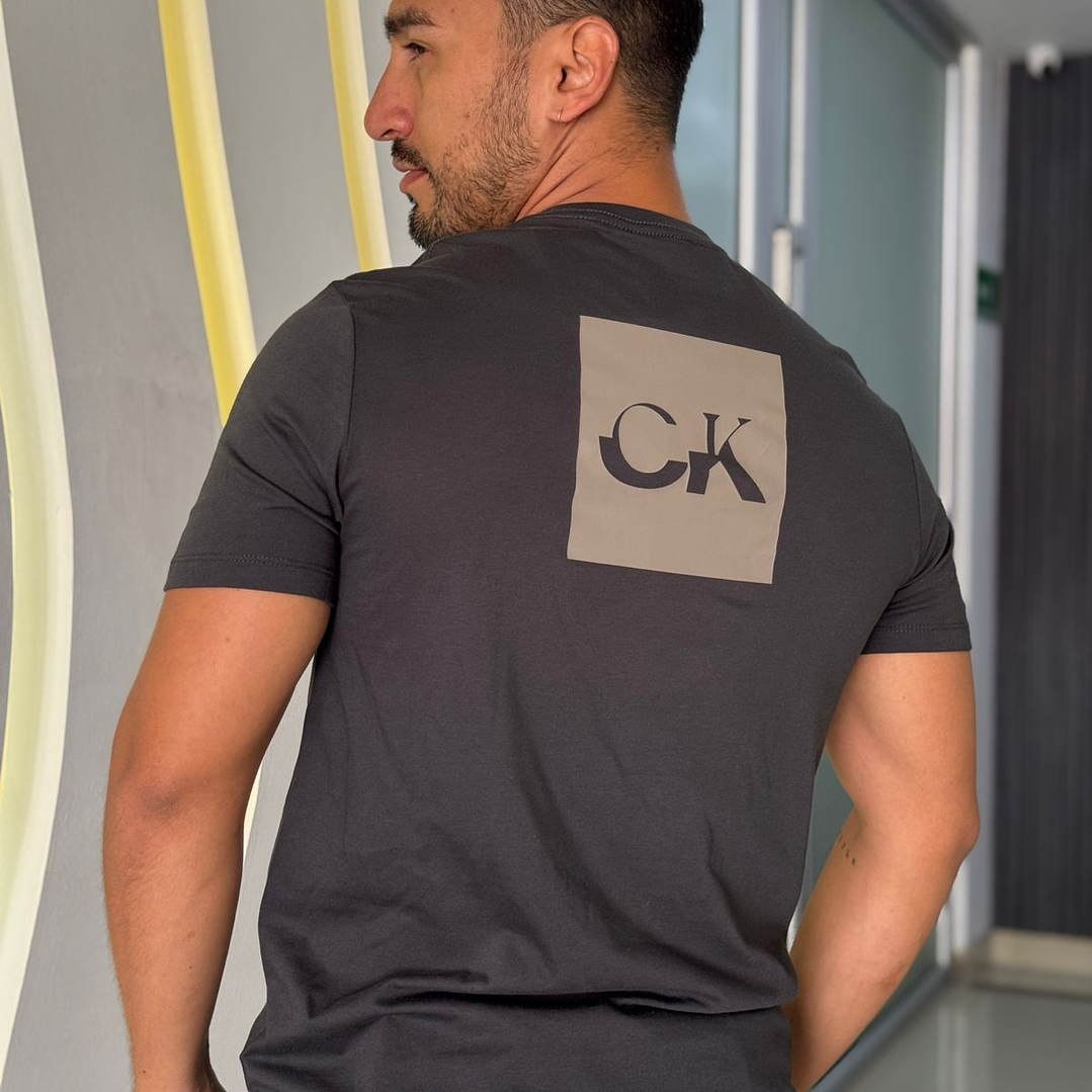 CAMISETA 30S CALVIN PINK 6