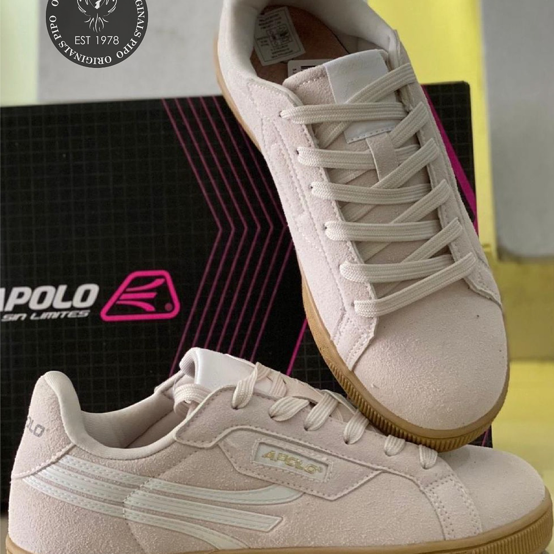 APOLO CANVA GREY 25-56-01 1