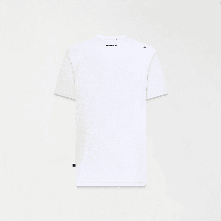 CAMISETA INCITATUS 2