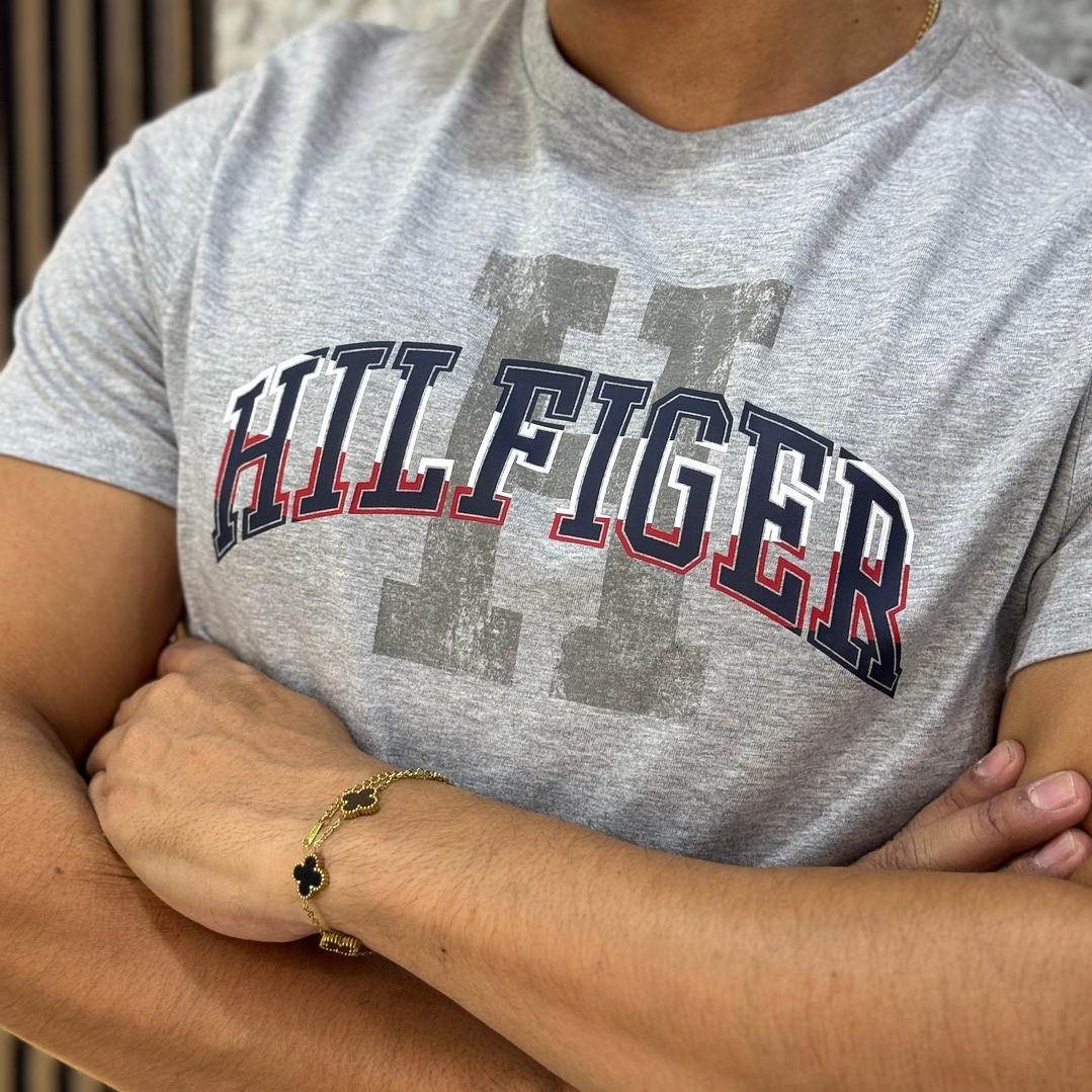 CAMISETA GRAPHIC GRIS 2