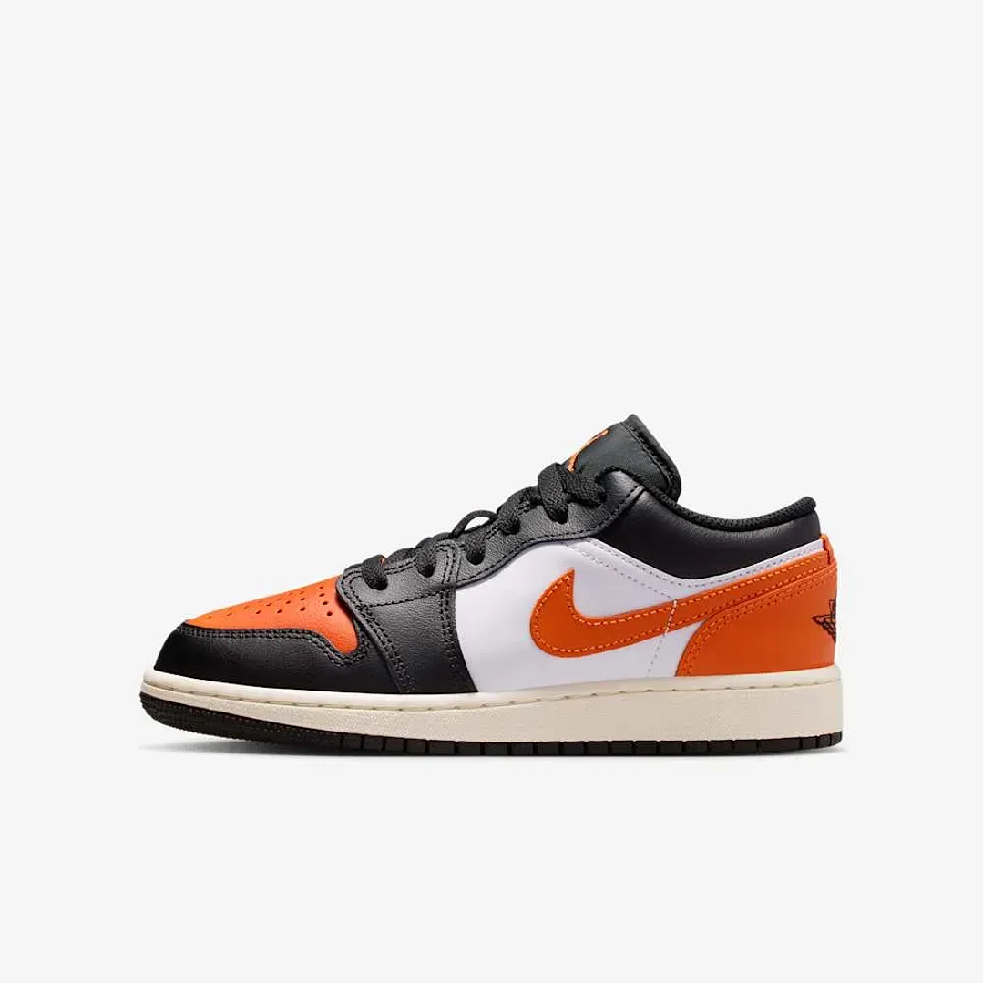 NIKE AIR JORDAN 1 LOW NG/NR/BL 2