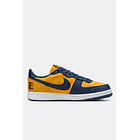 NIKE TERMINATOR LOW OG MICHIGAN 3