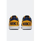 NIKE TERMINATOR LOW OG MICHIGAN 4