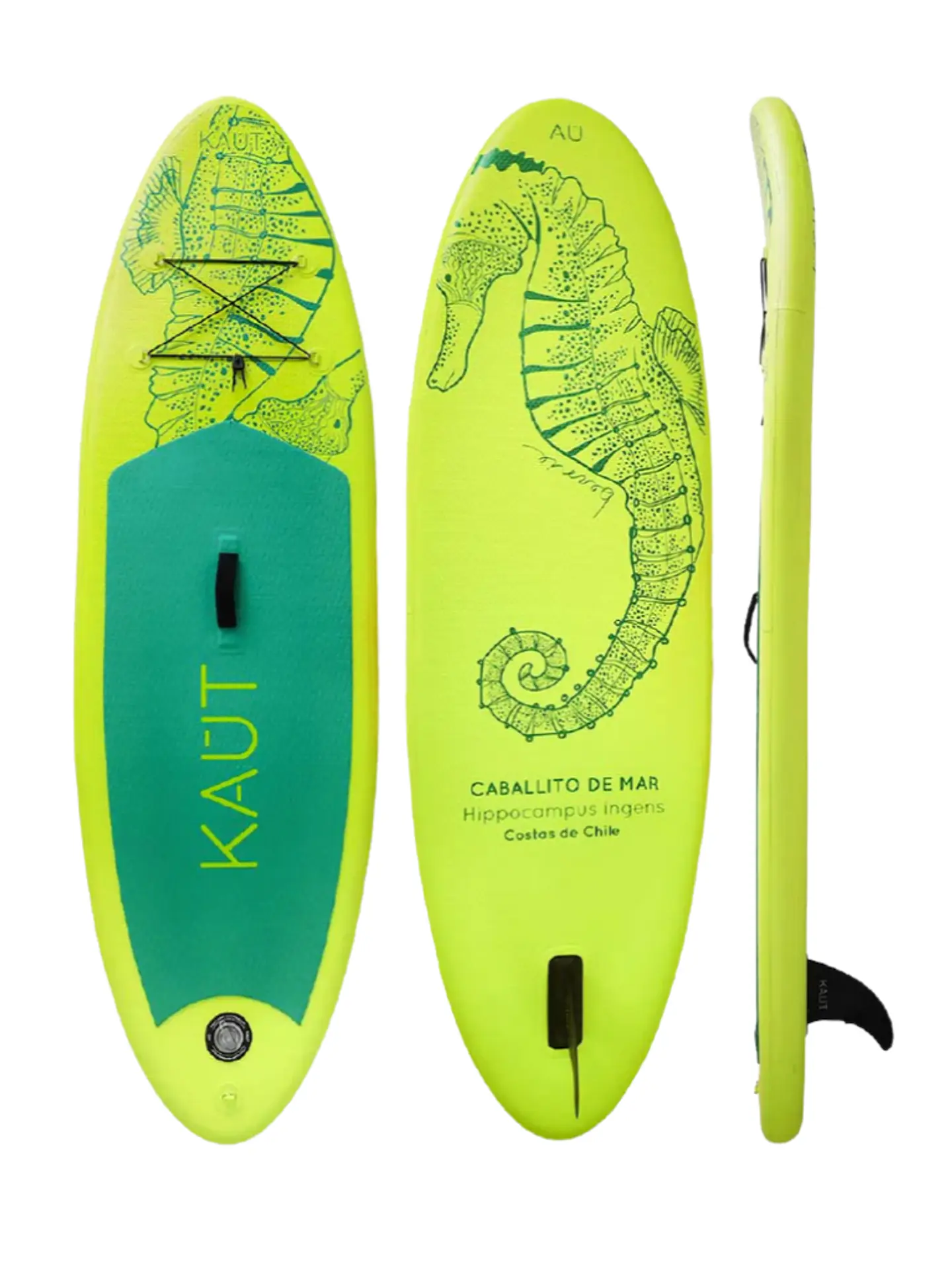 Stand Up Paddle (SUP) Inflable Kaut Kids 8'0