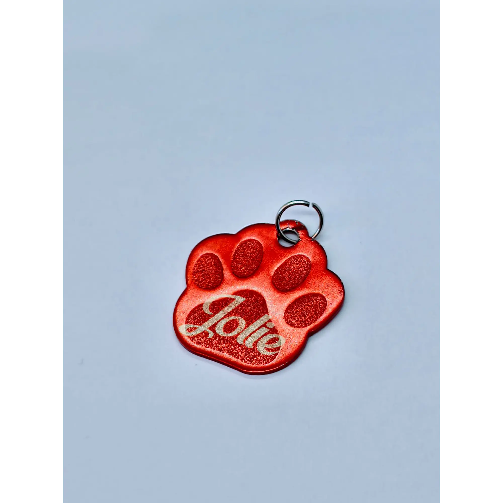 Chapas de Identificação Metálicas • Formato Patinha 4